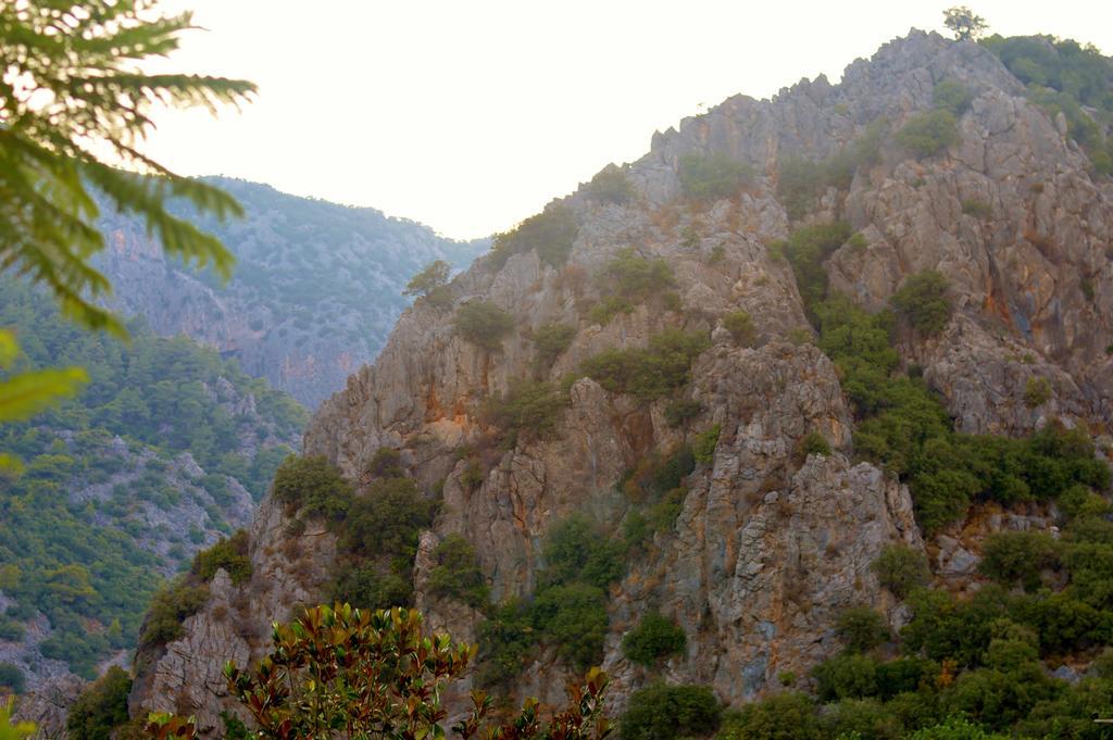 Safir Pansiyon Чирали Екстериор снимка
